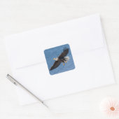 Weißkopfseeadler im Flug Quadratischer Aufkleber (Umschlag)
