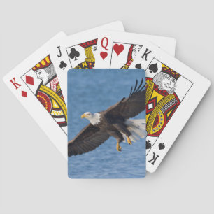 Weißkopfseeadler im Flug Spielkarten