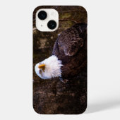 Weißkopfseeadler iPhone 14 Hülle (Rückseite)