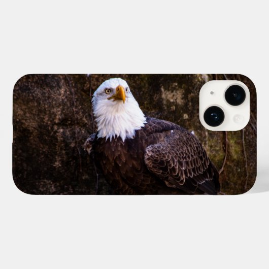 Weißkopfseeadler iPhone 14 Hülle (Rückseite (Horizontal))