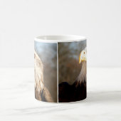Weißkopfseeadler Kaffeetasse (Mittel)