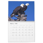 Weißkopfseeadler Kalender (Feb 2026)