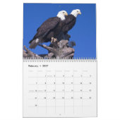 Weißkopfseeadler Kalender (Feb 2027)