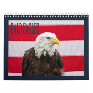 Weißkopfseeadler Kalender