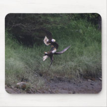 Weißkopfseeadler Kampf Mauspad