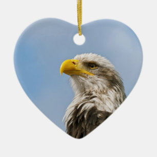 Weißkopfseeadler Keramik Ornament