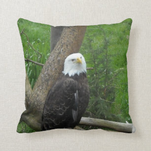 Weißkopfseeadler Kissen