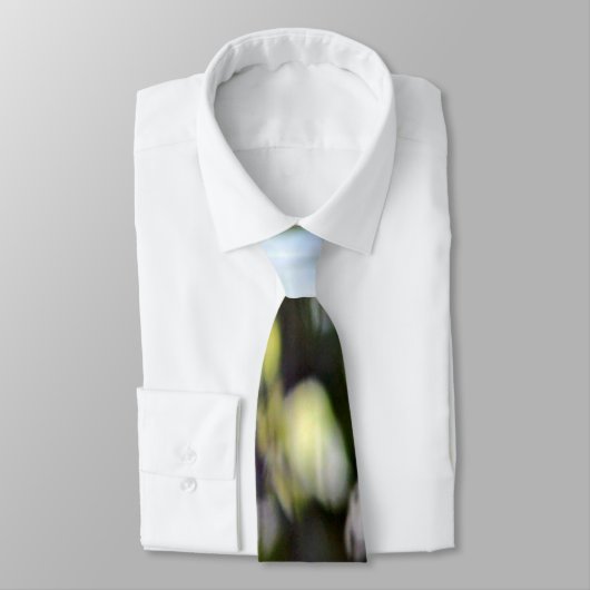 Weißkopfseeadler Krawatte (Gebunden)