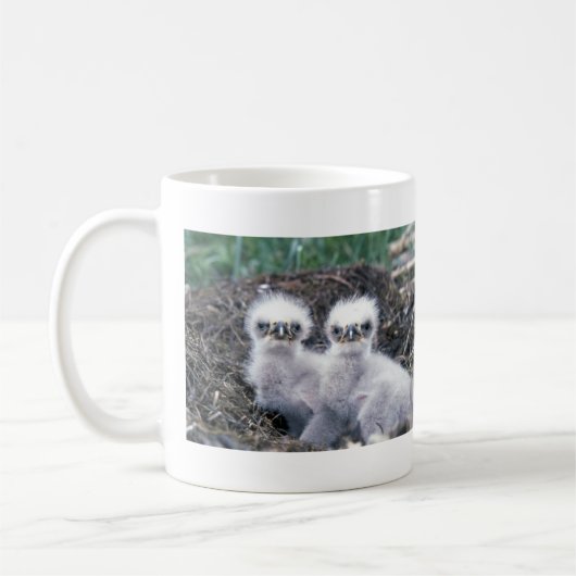 Weißkopfseeadler-Küken Kaffeetasse (Links)