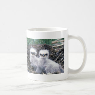 Weißkopfseeadler-Küken Kaffeetasse