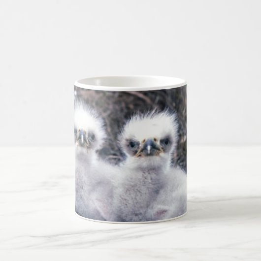 Weißkopfseeadler-Küken Kaffeetasse (Mittel)