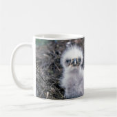 Weißkopfseeadler-Küken Kaffeetasse (Links)