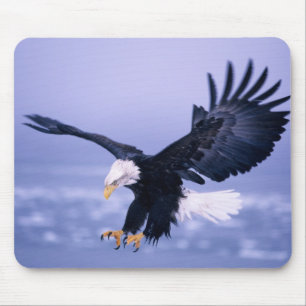 Weißkopfseeadler landet mit ausgebreiteten Flügeln Mousepad