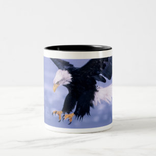 Weißkopfseeadler landet mit ausgebreiteten Flügeln Zweifarbige Tasse