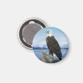 Weißkopfseeadler-Magnet Magnet (Vorderseite/Rückseite)