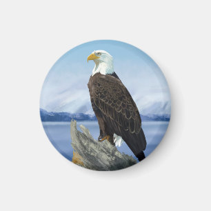 Weißkopfseeadler-Magnet Magnet