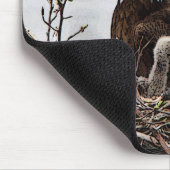 Weißkopfseeadler mit eaglets mousepad (Ecke)
