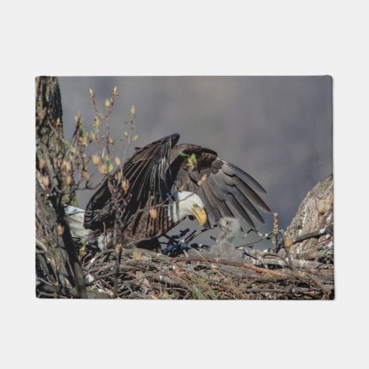 Weißkopfseeadler mit ihrem Baby Fußmatte (Vorderseite)