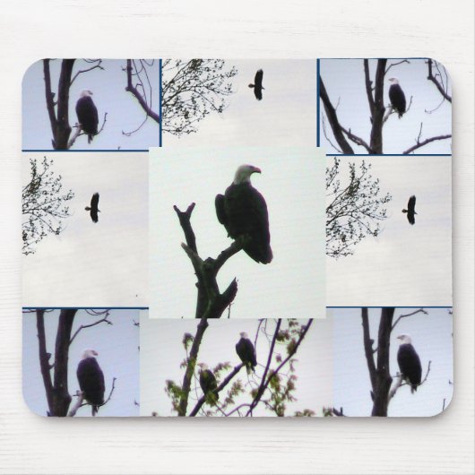 Weißkopfseeadler-Montage Mousepad (Vorne)