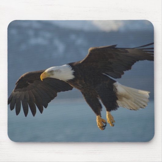 Weißkopfseeadler Mousepad (Vorne)