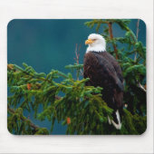 Weißkopfseeadler Mousepad (Vorne)