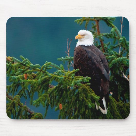 Weißkopfseeadler Mousepad (Vorne)
