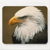 Weißkopfseeadler Mousepad (Vorne)