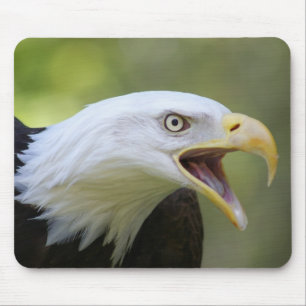 Weißkopfseeadler mousepad