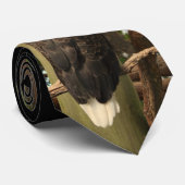 Weißkopfseeadler (nationaler Vogel) Krawatte (Gerollt)