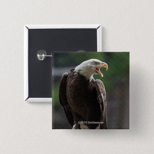 Weißkopfseeadler Nennen Button (Vorne & Hinten)