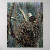 Weißkopfseeadler-Nest-Waldkunst Poster (Vorne)