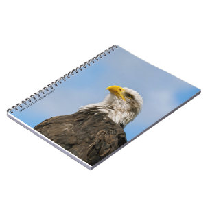 Weißkopfseeadler Notizblock