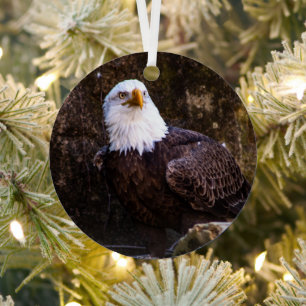Weißkopfseeadler Ornament Aus Metall