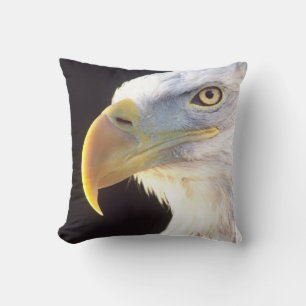 Weißkopfseeadler-Porträt, Haliaeetus leucocephalus Kissen