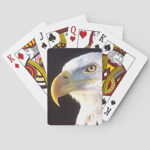 Weißkopfseeadler-Porträt, Haliaeetus leucocephalus Spielkarten