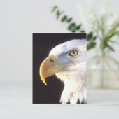 Weißkopfseeadler-Porträt, Haliaeetus Postkarte (Stehend Vorderseite)