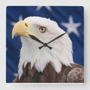 Weißkopfseeadler-Porträt mit Sternen Quadratische Wanduhr