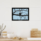 Weißkopfseeadler Poster (Küche)