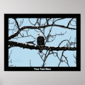 Weißkopfseeadler Poster (Vorne)