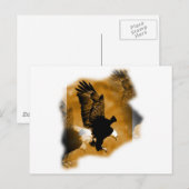 Weißkopfseeadler Postkarte (Vorne/Hinten)