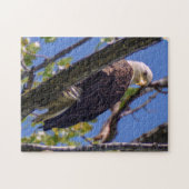 Weißkopfseeadler-Puzzlespiel Puzzle (Horizontal)
