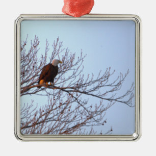 Weißkopfseeadler-Schmuck Ornament Aus Metall