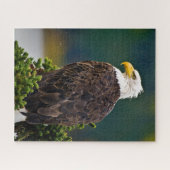 Weißkopfseeadler sitzend puzzle (Horizontal)