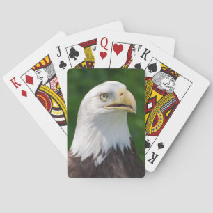 Weißkopfseeadler Spielkarten