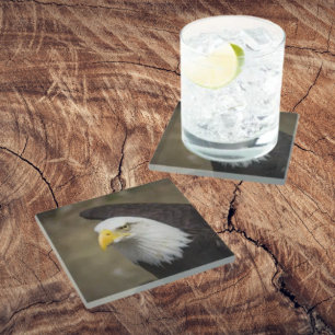 Weißkopfseeadler Stärke – Bold Coaster Set Glasuntersetzer