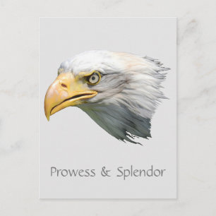 Weißkopfseeadler Stärke & Herrlichkeit anpassbar Postkarte