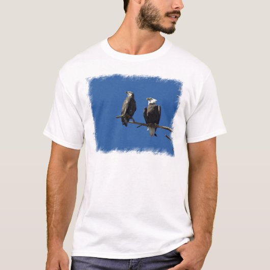 Weißkopfseeadler T-Shirt (Vorderseite)