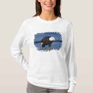Weißkopfseeadler T-Shirt