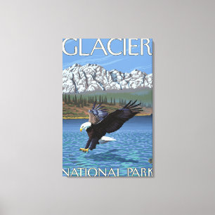 Weißkopfseeadler-Tauchen - Glacier Nationalpark, Leinwanddruck
