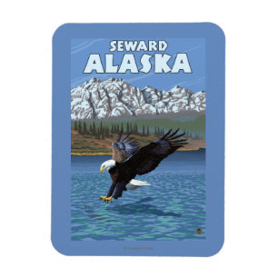Weißkopfseeadler-Tauchen - Seward, Alaska Magnet